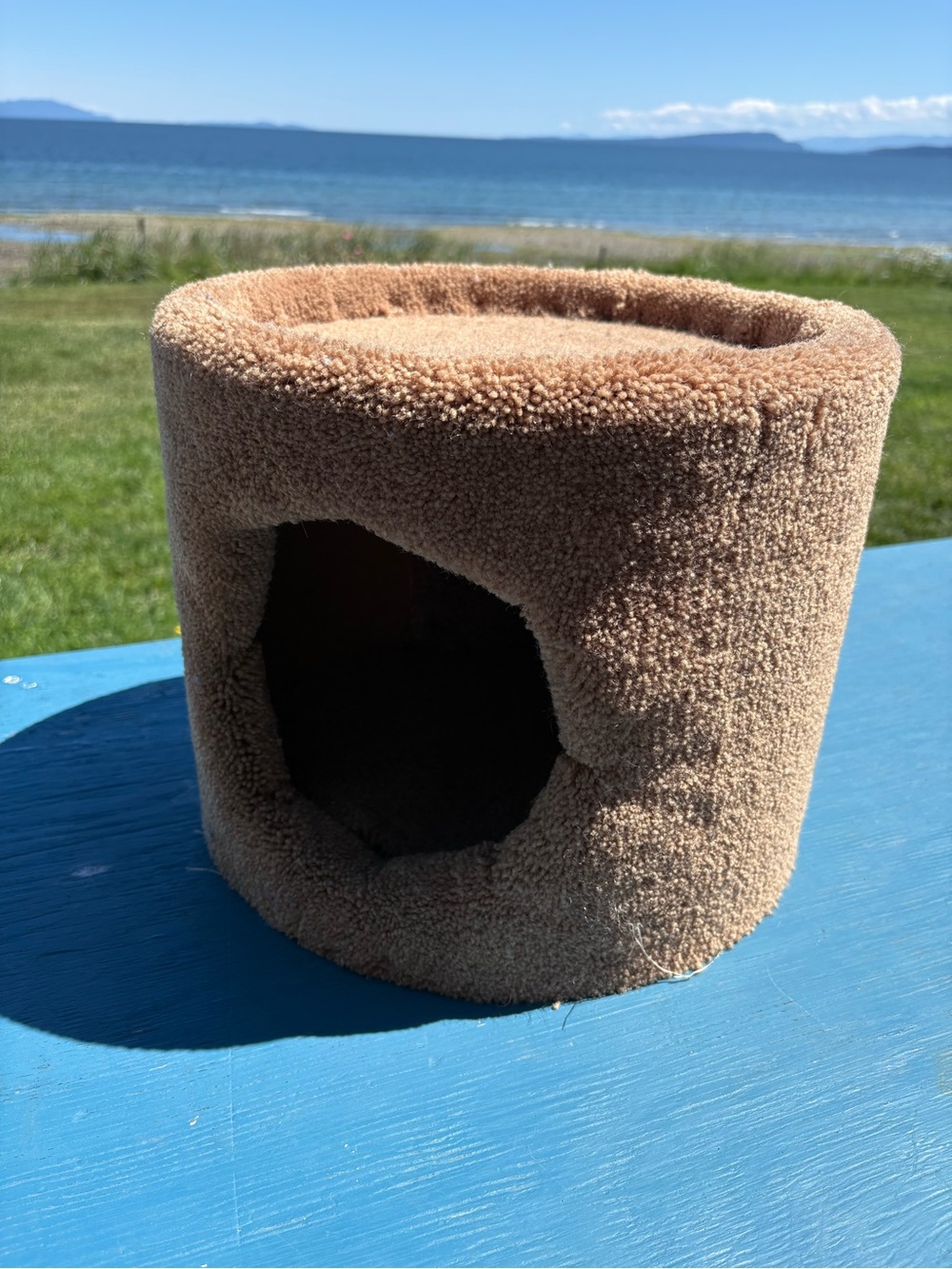 Cat condo - Picture 5 of 5